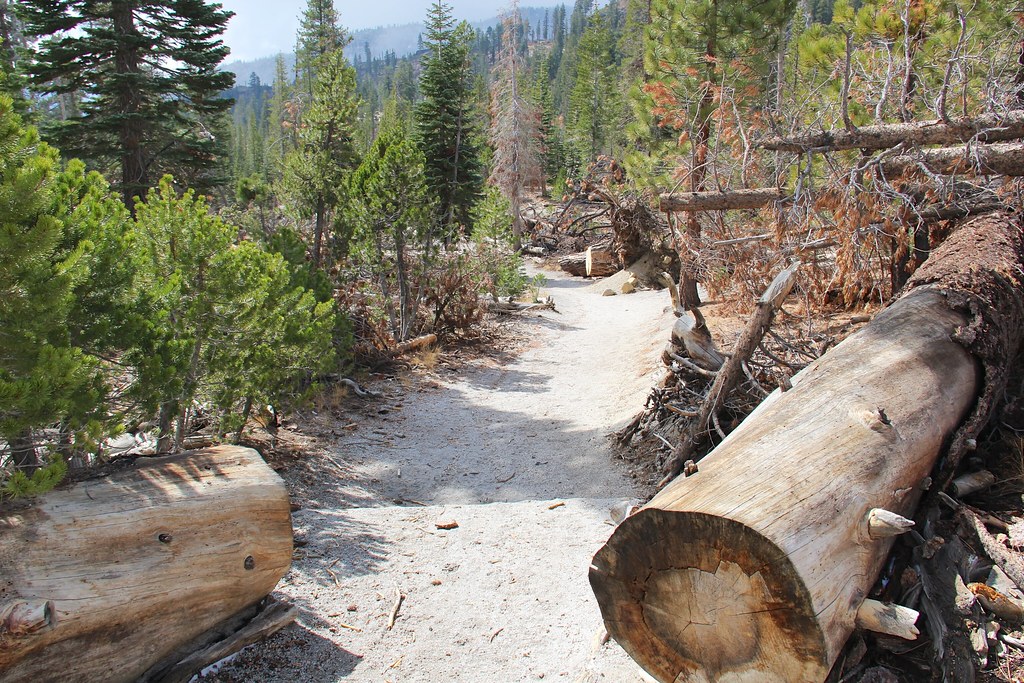 Rainbow Falls Trail