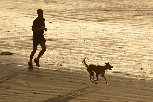 portfairy victoria australia southernocean ocean jogger dog sunrise easternbeach