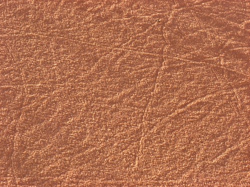 Sand Dunes 020 | by Chandler West