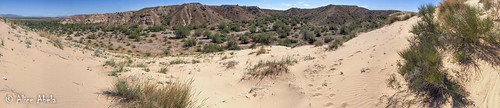 az arizona coloradoriver desertspring2017 lapazcounty leveeroad locpublic viseveryone