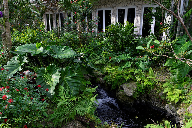 Fairchild Tropical Botanic Gardens in Miami, Florida.