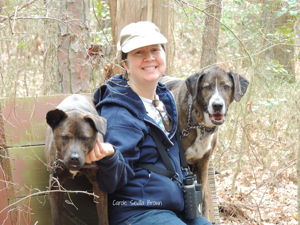 DD Dogs | Used to illustrate Woods Trail, Blackwater NWR | Carole ...