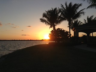 photo (7)