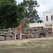 ven, 09/08/2013 - 12:25 - IMG_1755