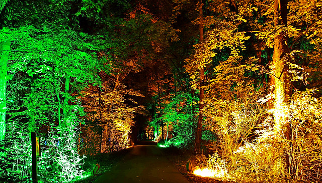 Herbstleuchten 2013, Juelich, Brückenkopfpark, 02