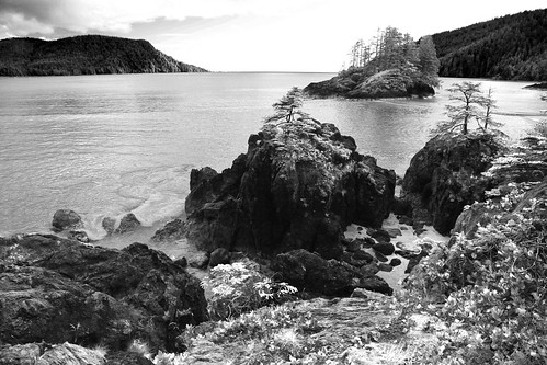 seascape blackwhite britishcolumbia vancouverisland seastacks blackwhitephotos sanjosefbay