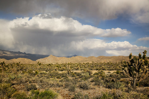 nevada springmountains desert joshuatrees mountains colluvialfan yucca clouds sky cloudscape wyojones np