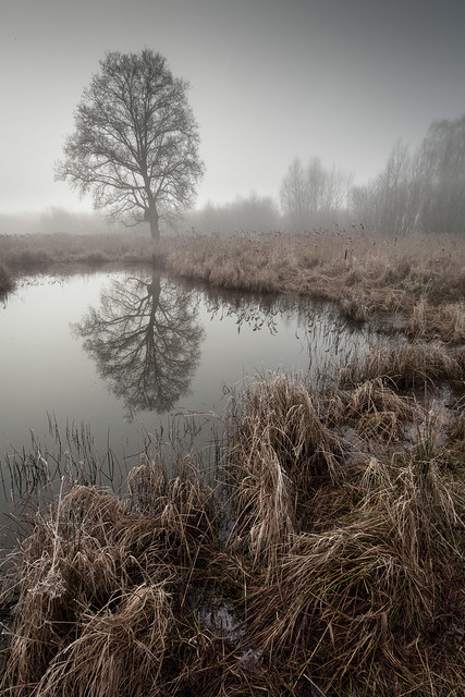 Frozen fens - Shortlisted: Outdoor Photographer of the Year 2014