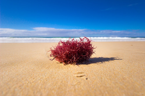 blue beach water strand southafrica pe südafrika portelizabeth summerstrand ostkap