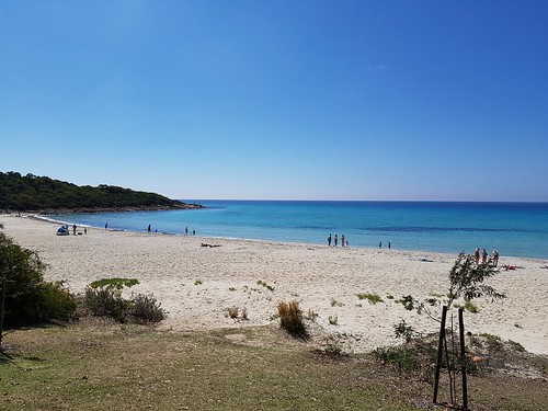 meelupbeach naturaliste beach shore