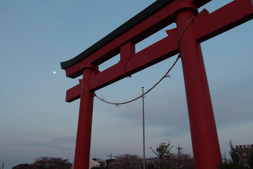 marvinandino marvinandinophotography sakura cherryblossoms tokyo japan oipark tori nightphotography sunrise moon