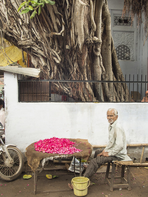 1/2 Flower seller  Vendeur de fleurs  ....Gwalior --India