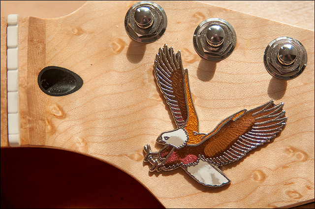 20130719_guitar_build_eagle