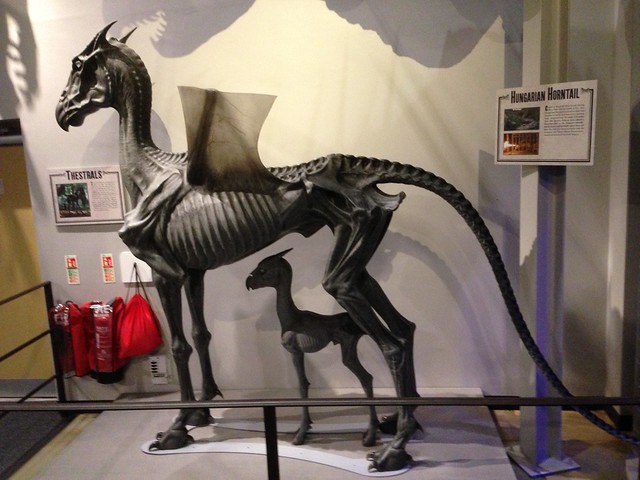 Harry Potter/Warner Bros. Studio Tour: Creature Effects - Thestral