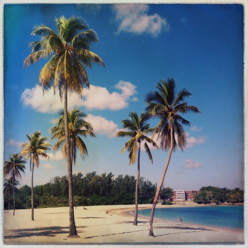 vacation holiday beach paradise havana cuba palmtree tropical caribbean playadeleste foxylens robustafilm villabacuranao