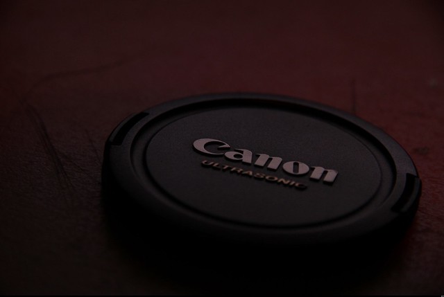 Canon EOS 7D Bernard, 1ere prise (3)
