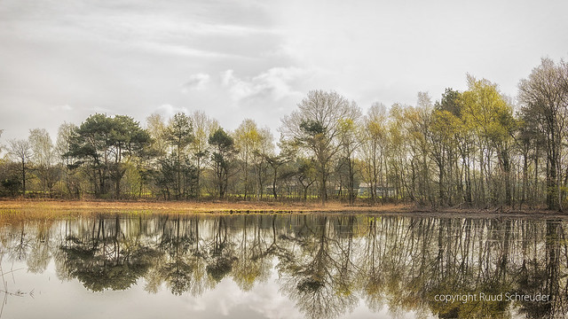 Rozenven, Roosendaal, The Netherlands on a cloudy day [explored]