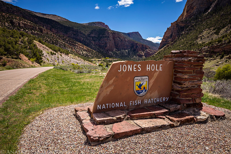 Jones Hole National Fish Hatchery Sign