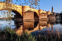 El #puente de #piedra #navega el #Ebro. #instagram #instagood #instapic #instago #igerszgz #igersaragon #igersspain #rio #river #Ebro #agua #water #flow #nature #spring #zaragoza_turismo #RegalaZaragoza #zgzciudadana #estaes_aragon #instazaragoza