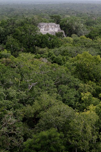 overgrown mexico temple ancient ruins mayan jungle northamerica precolumbian historicsite calakmul