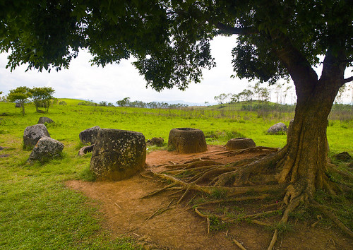 old travel tree history tourism archaeology monument nature beauty cemetery grass rock urn horizontal stone mystery landscape outdoors photography ancient asia southeastasia day antique nobody nopeople carving unescoworldheritagesite container gravestone jar environment damaged laos plain thepast isolated scenics developingcountries archeological traditionalculture indochina antiquities tranquilscene traveldestinations colorimage xiengkhuang ruralscene beautyinnature nationallandmark plainofjars placeofinterest nonurbanscene ancientcivilisation colourimage indigenousculture frenchindochina physicalgeography laotianculture placeconcerningdeath thonghaihin xiengkhuangprovince prehistoricburialsite traditionalorientalculture frenchprotectorate annamesecordillera a1214104