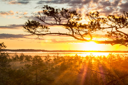 _DSC3065 by straupenieks, morning fog sunrise latvia tvtower riga cenastīrelis sonya58