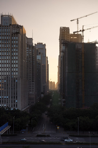 china skyscraper sunrise crane guangdong shenzhen dameisha