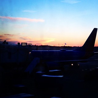 Flight Into the Sunset