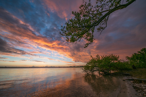 clouds florida landscapephotography manateecounty mangroves trees unitedstates palmetto us