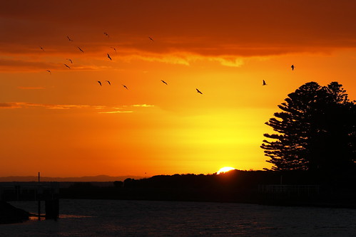 portfairy victoria australia southernocean ocean moyneriver sunrise sun