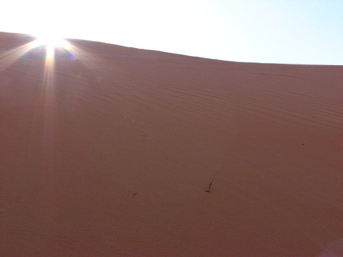 Sand Dunes 038 | by Chandler West