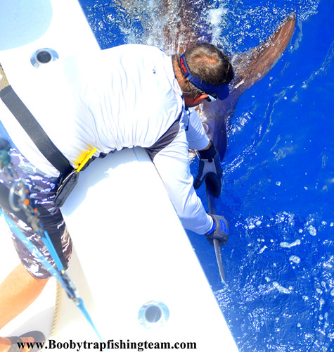 Booby-Trap-Capt-Ahab-Brett-Holden_Swordfish-Release_Pelagic | by boobytrapfishingteam