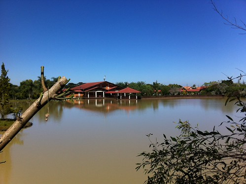 Treze Tilias | by Otavio Piske
