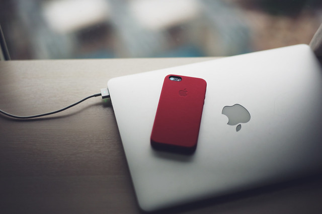 Apple (Product) RED Leather Case