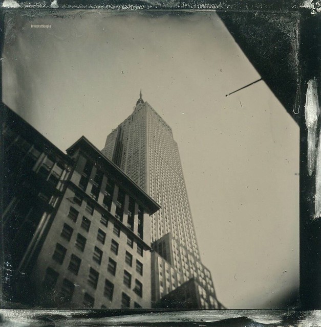 Way Up High (Wet Plate Collodion Holgatype)