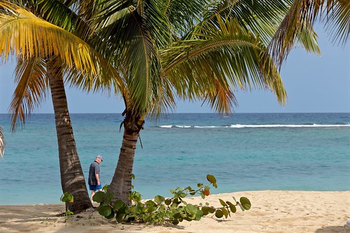 Beach Comber | Ocho Rios Jamaica | smilla4 | Flickr
