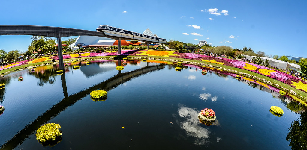 Monorail flowers