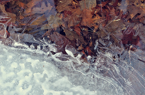 canada quebec ice winter cold drawings water thaw nature frozen crack light akigabo canon bubbles lake eos rebel t5i contrast 700d red dsrl sunset white 50mm wet park