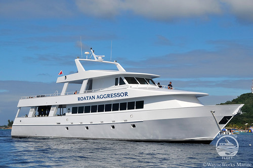 M/V Roatan Aggressor