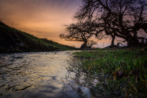california trees sunset water beauty creek landscape oak rainfall penngrove