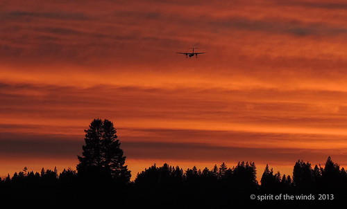 airplanes sunsets excapture nikonflickraward
