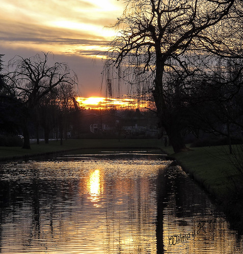 reflections nederland thenetherlands sunsets dordrecht ponds silhouetttes