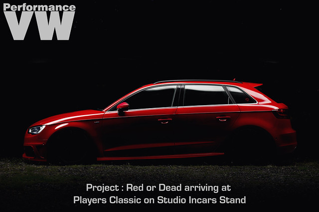 Project : Red or Dead Coming Soon