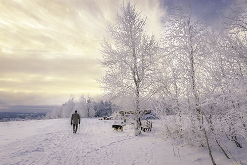 Winter's Poetry by AsAbel14 - Mostly Off, It seems, I am obsessed with wintery images at the moment...although I have taken this one quite a w