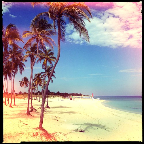 vacation holiday beach paradise havana cuba palmtree tropical caribbean playadeleste blankonoirfilm chunkylens villabacuranao