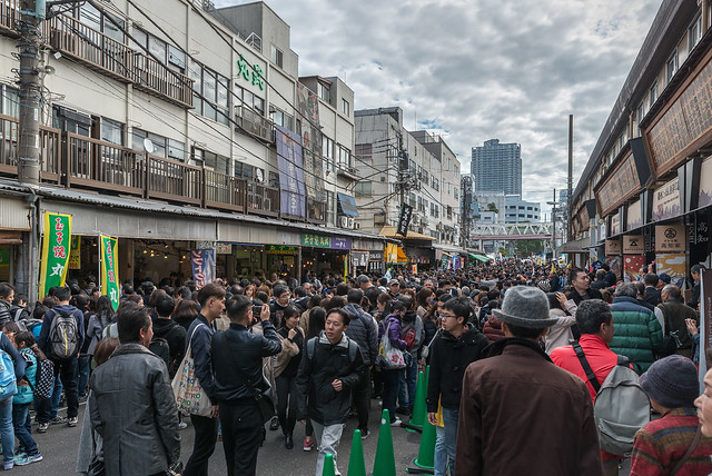 Saturday in Tokyo : Tsukiji Fish Market area