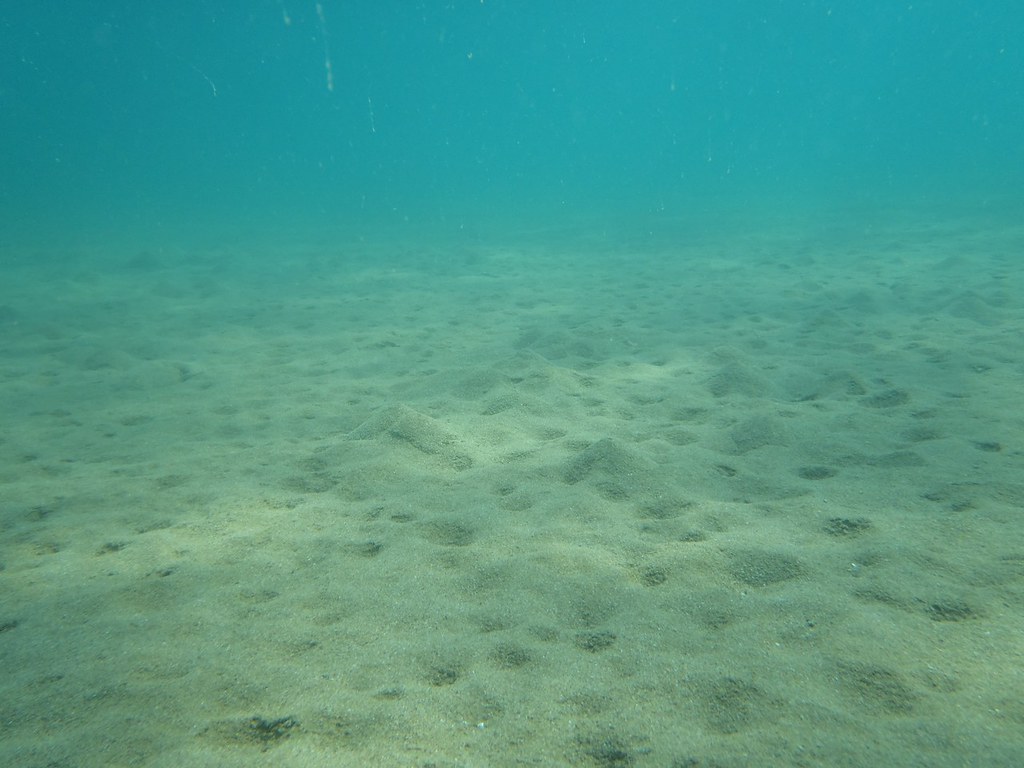 Sea Sand Deep Sea Bottom Sea Floor Dikella Evros Greec Flickr