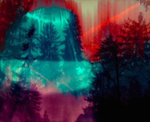 and have a walk in Alice woods | by lars on mars