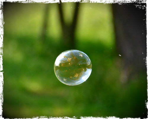 bubble | by ly171210