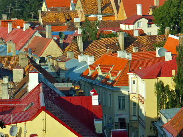 Toits de Tallinn